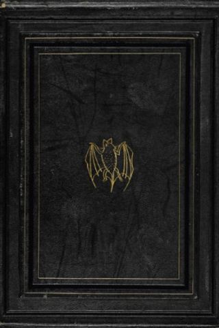 _: Drácula (Hardcover, Portuguese language, 2018, Darkside)