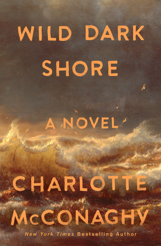 Charlotte McConaghy: Wild Dark Shore (2025, Flatiron Books)